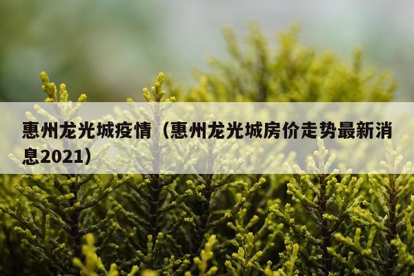 惠州龙光城疫情（惠州龙光城房价走势最新消息2021）