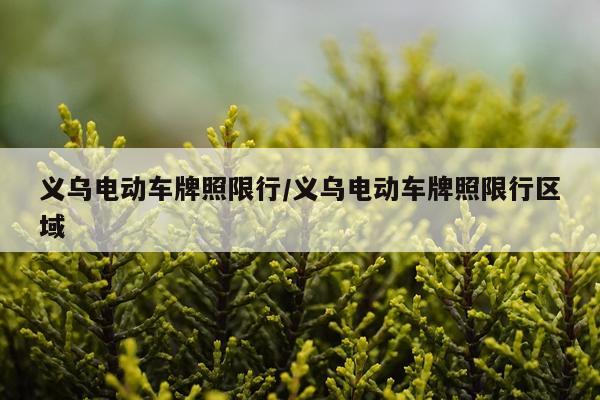 义乌电动车牌照限行/义乌电动车牌照限行区域